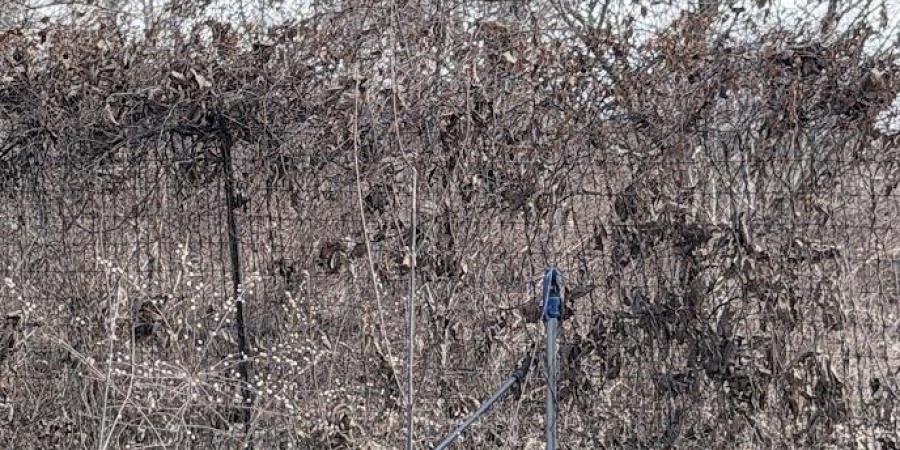 2495 S 1450 W, Linton, Indiana 47441,MLS,202605442