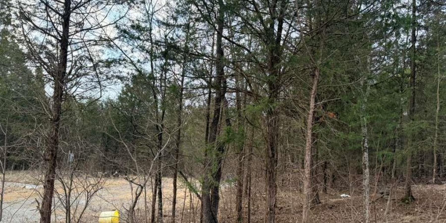 TBD Dive Road, Bedford, Indiana 47421,MLS,202605969