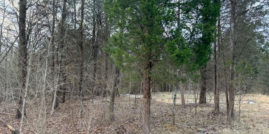 TBD Dive Road, Bedford, Indiana 47421,MLS,202605969