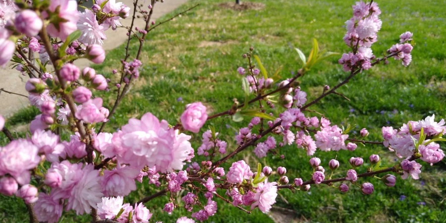 4527 E Deckard Drive, Bloomington, Indiana 47408,MLS,202606063