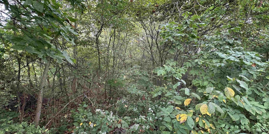 TBD Spring Drive, Bedford, Indiana 47421,MLS,202606094