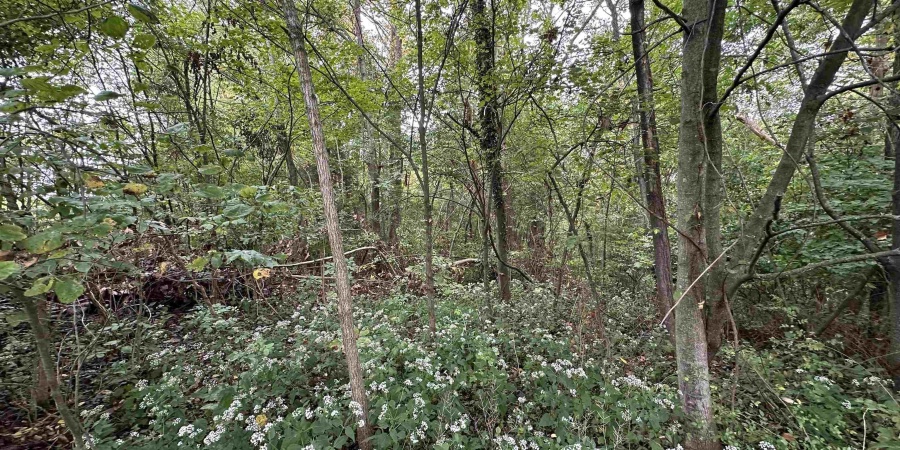 TBD Spring Drive, Bedford, Indiana 47421,MLS,202606094