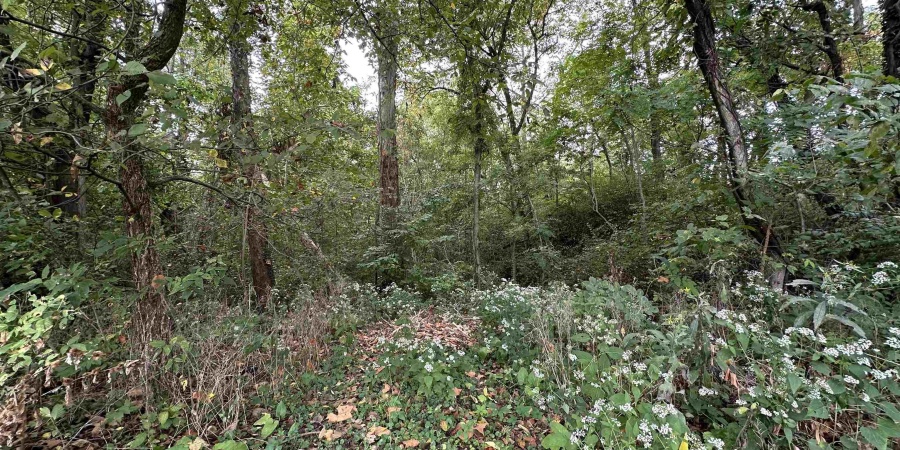 TBD Spring Drive, Bedford, Indiana 47421,MLS,202606094