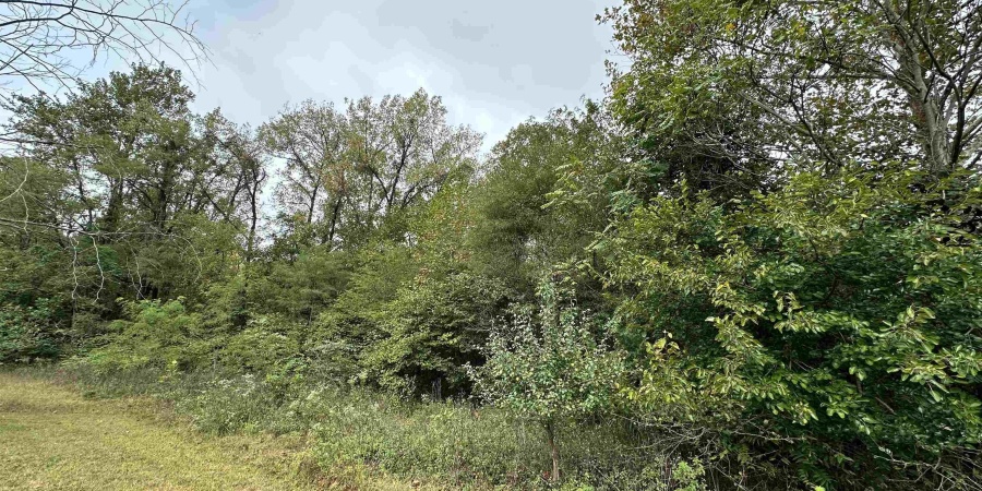 TBD Spring Drive, Bedford, Indiana 47421,MLS,202606094