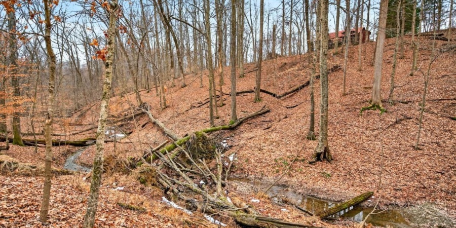 8288 Bluegill Drive, Nineveh, Indiana 46164,MLS,202606156