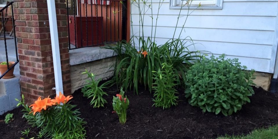 111 N Elm Street, Bloomington, Indiana 47404-3655,MLS,202606226