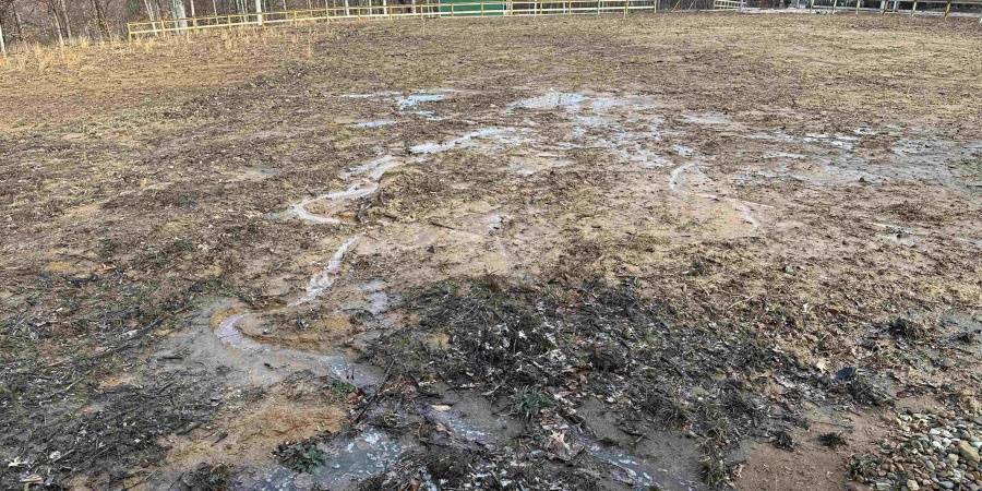 1249 N Lawrence Hollow Drive, Bloomfield, Indiana 47424,MLS,202606251