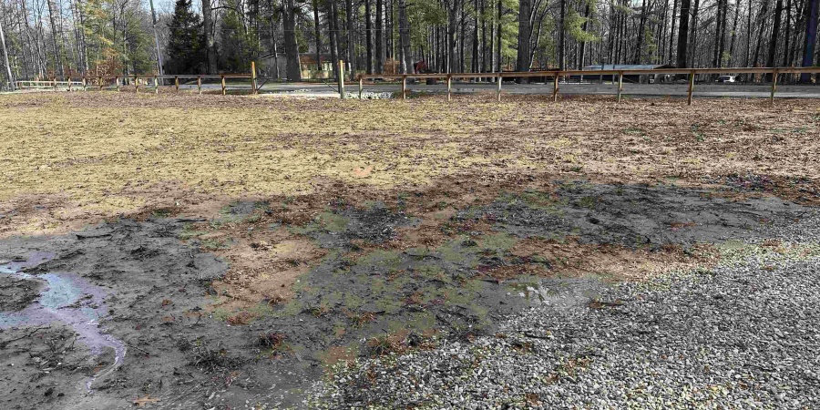 1249 N Lawrence Hollow Drive, Bloomfield, Indiana 47424,MLS,202606251