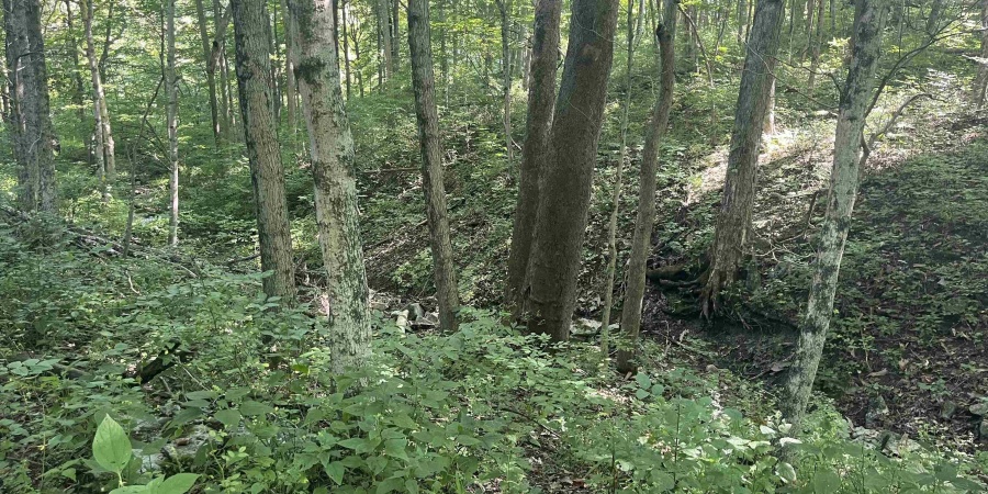 5651 and 5653 W Duvall Road, Bloomington, Indiana 47403,MLS,202606530