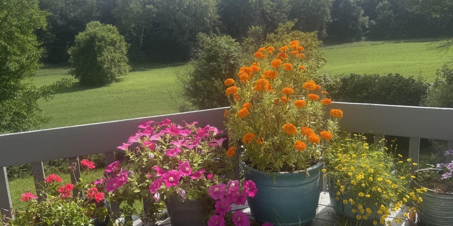 5651 and 5653 W Duvall Road, Bloomington, Indiana 47403,MLS,202606530