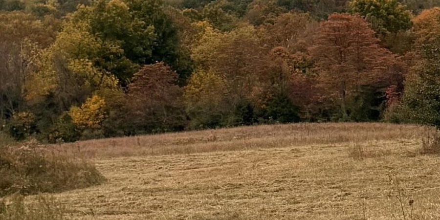 5651 and 5653 W Duvall Road, Bloomington, Indiana 47403,MLS,202606530