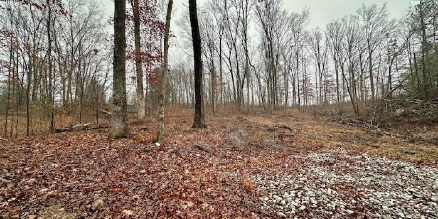 TBD State Road 54, Springville, Indiana 47462,MLS,202606735