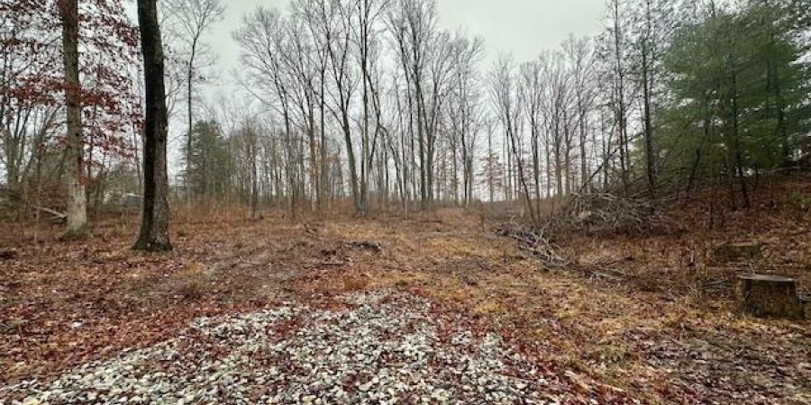 TBD State Road 54, Springville, Indiana 47462,MLS,202606735