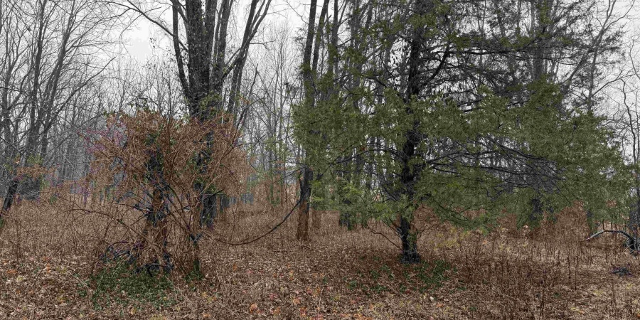 4702 Hwy 50 E, Bedford, Indiana 47421,MLS,202606745