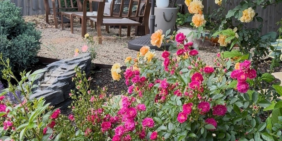 338 S Poplar Drive, Ellettsville, Indiana 47429,MLS,202607145